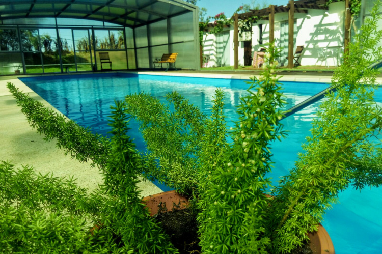 Complejo AEBU Daymán Juanjo Ramos.