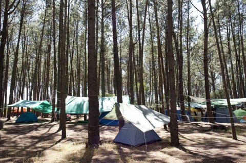 Parque Vacacional de AEBU en Piriápolis | Foto: Mauricio Zina