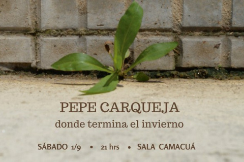 Pepe Carqueja