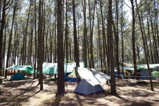 Parque Vacacional de AEBU en Piriápolis | Foto: Mauricio Zina